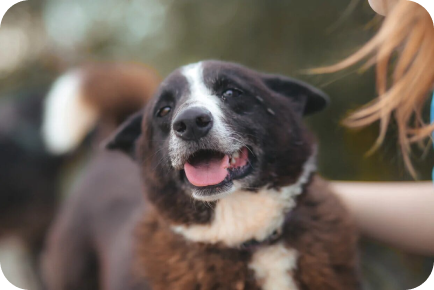 нет времени приехать