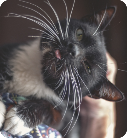 помощь с пиаром